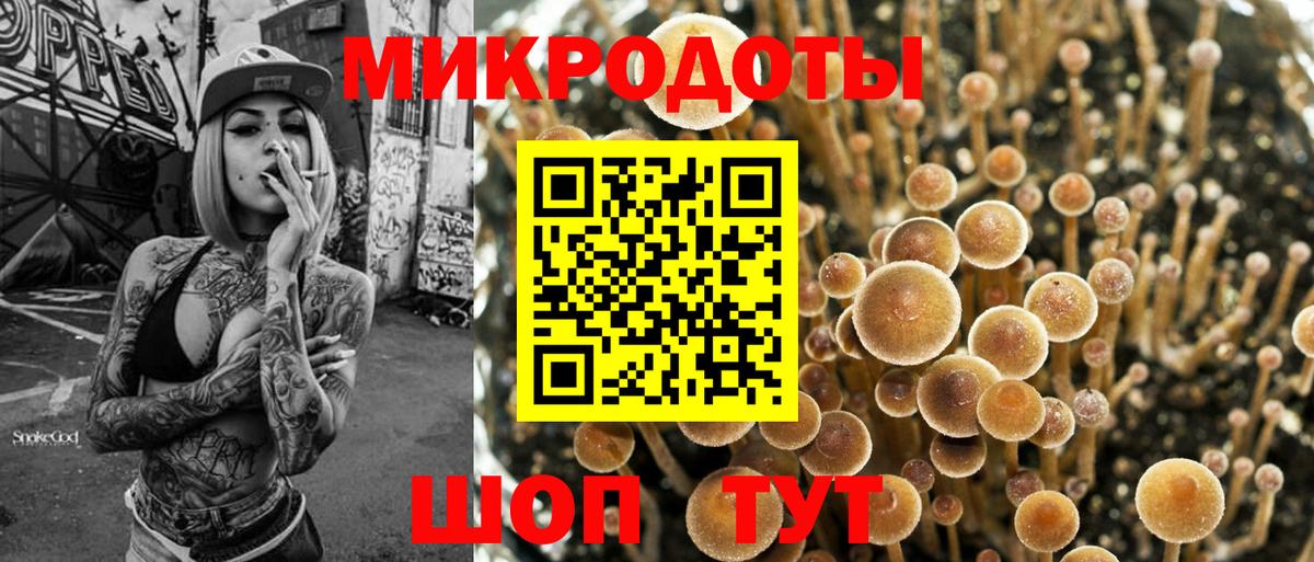 Псилоцибиновые грибы Cubensis Ижевск
