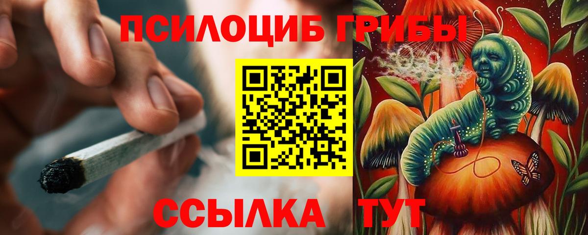 Ижевск  Галлюциногенные грибы мицелий  Вход с VPN  Галлюциногенные грибы Magic Shrooms 